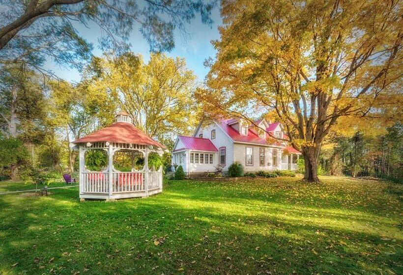 Háromágyas Standard Szoba, Lionheart Guest House