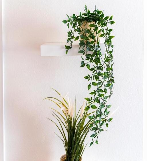 标准间, Lory S Suite