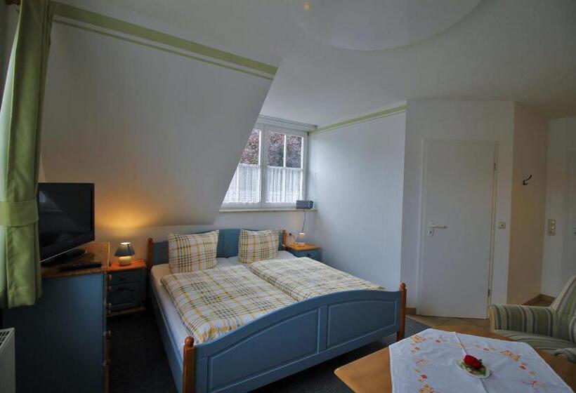 Номер Стандарт, Pension Grosser