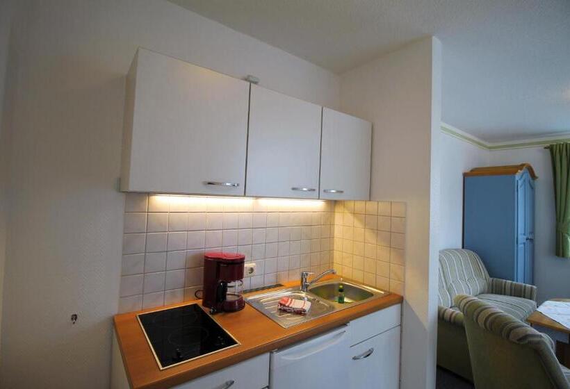 Номер Стандарт, Pension Grosser