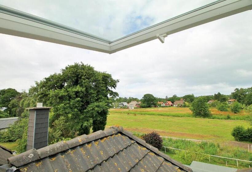 Номер Стандарт, Pension Grosser