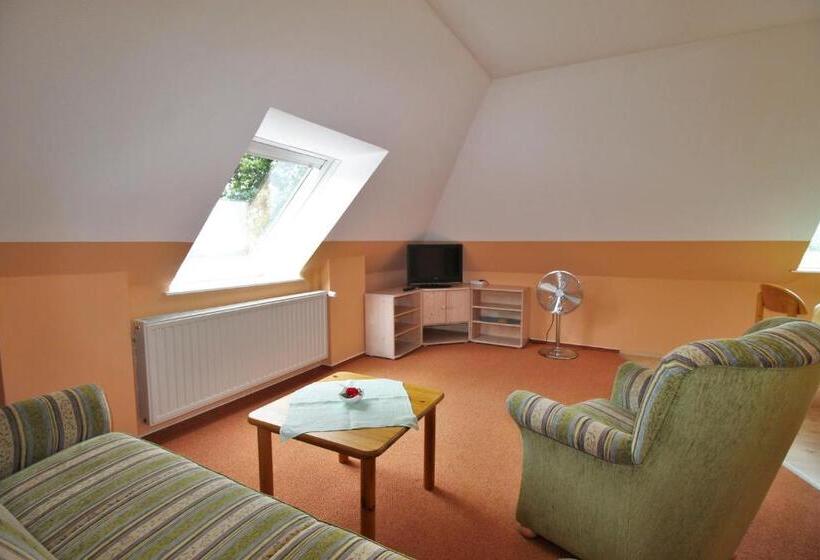 Номер Стандарт, Pension Grosser