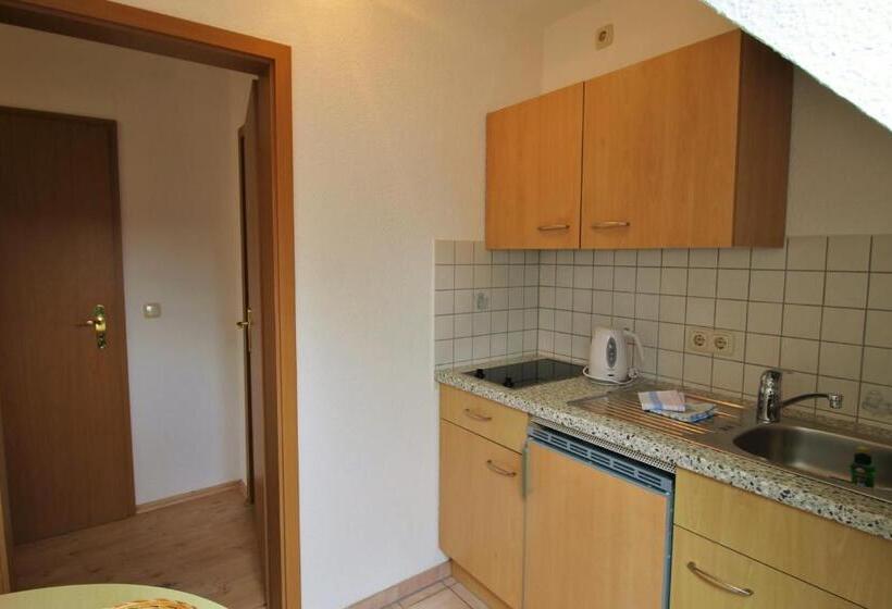 Номер Стандарт, Pension Grosser