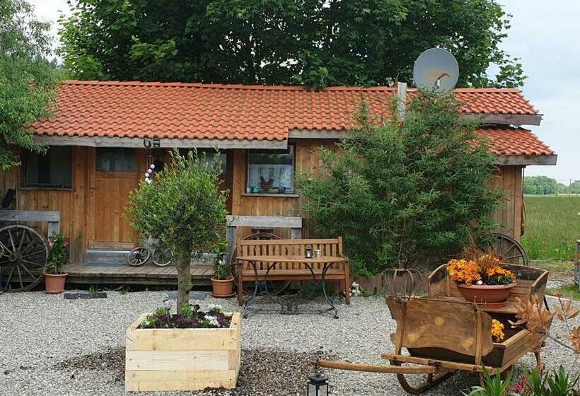 Номер Стандарт, Chrom Ranch Reiterhof