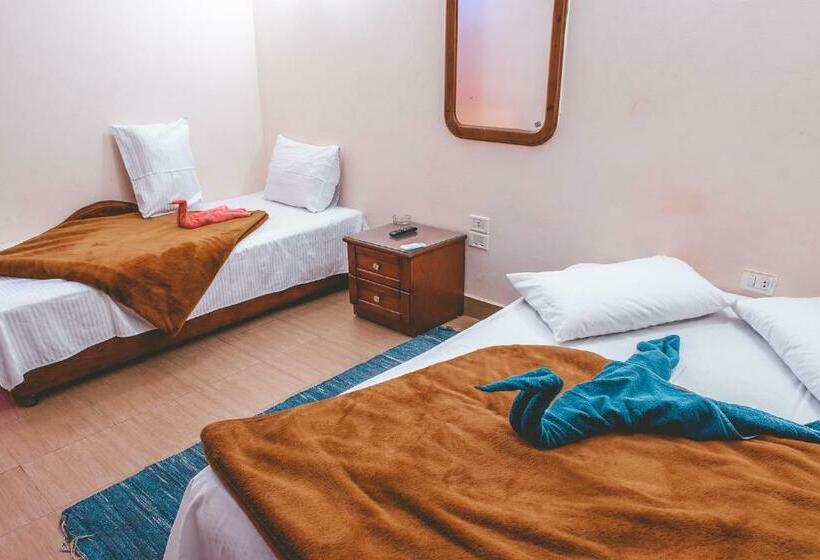 اتاق اکونومی, Gina Motel Dahab