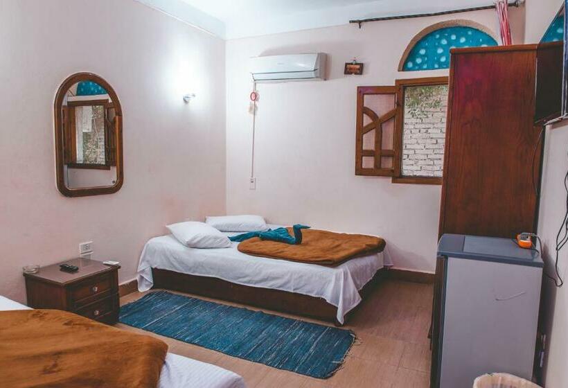 اتاق اکونومی, Gina Motel Dahab
