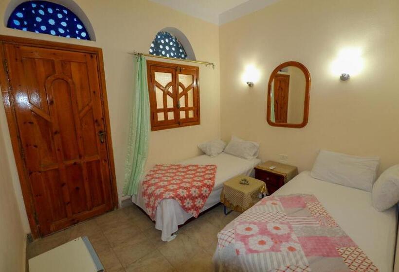 اتاق اکونومی, Gina Motel Dahab