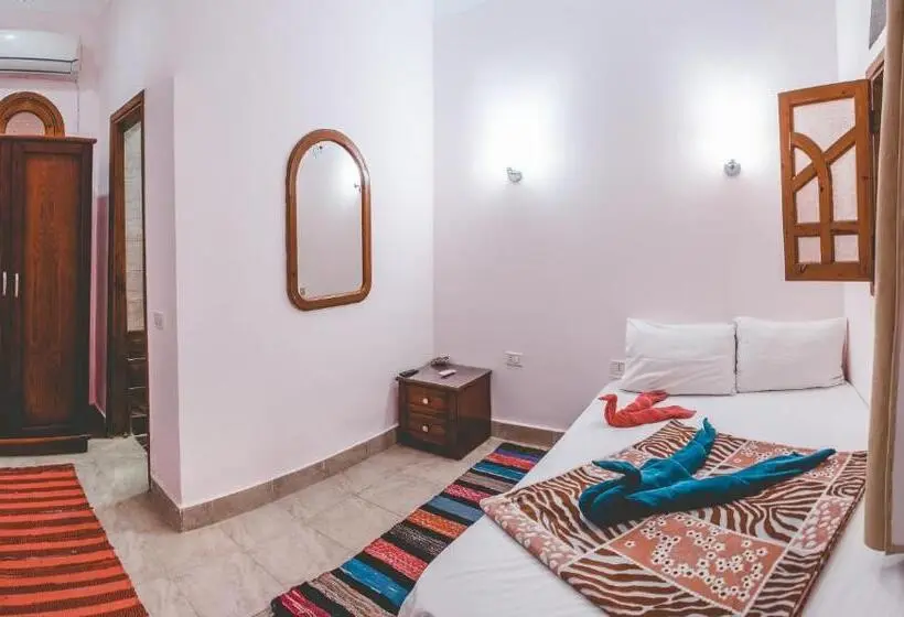 اتاق اکونومی یک تخته, Gina Motel Dahab