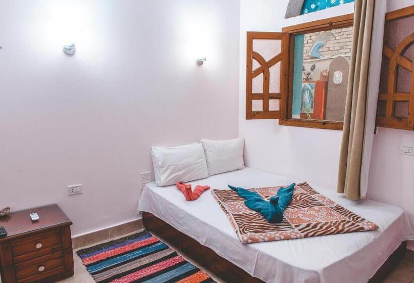 اتاق اکونومی یک تخته, Gina Motel Dahab