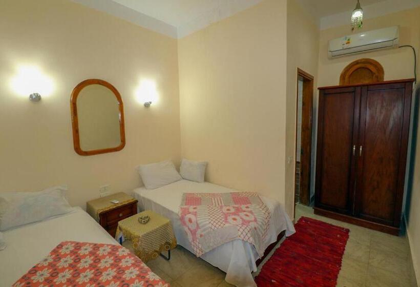 اتاق اکونومی, Gina Motel Dahab