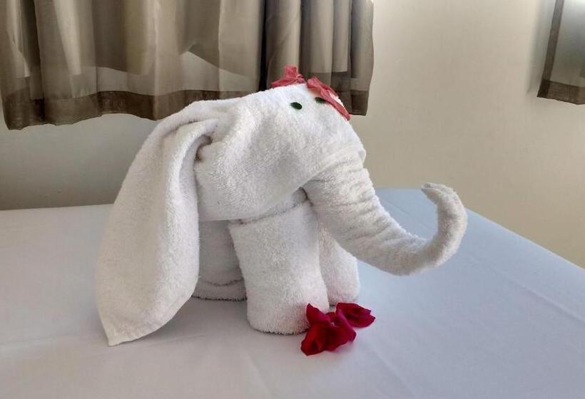 家庭工作室, Espaço Santa Flora