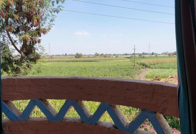 اتاق استاندارد با تراس, Rural Guest House فندق البيت الريفي