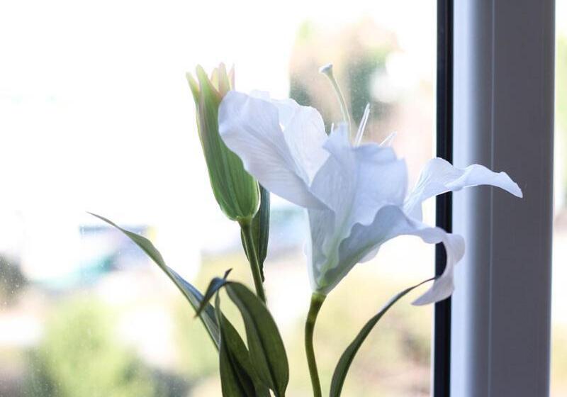 标准单人间, Pension Berlin In Spremberg