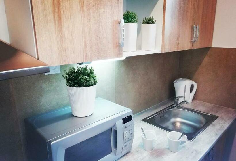 آپارتمان لوکس 1 خوابه, Apartmány U Stříbrných