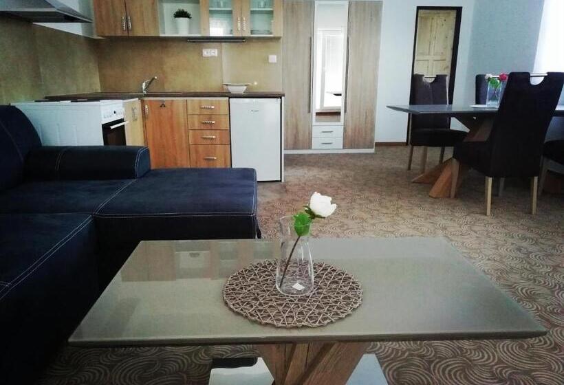 آپارتمان 1 خوابه, Apartmány U Stříbrných