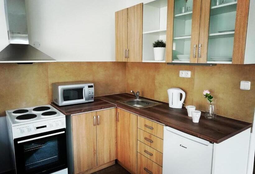 آپارتمان 1 خوابه, Apartmány U Stříbrných