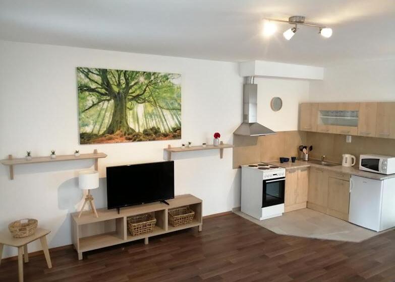 1베드룸 아파트 1층, Apartmány U Stříbrných