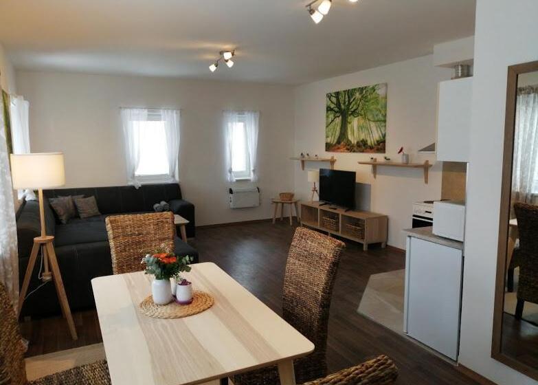 آپارتمان 1 خوابه همکف, Apartmány U Stříbrných