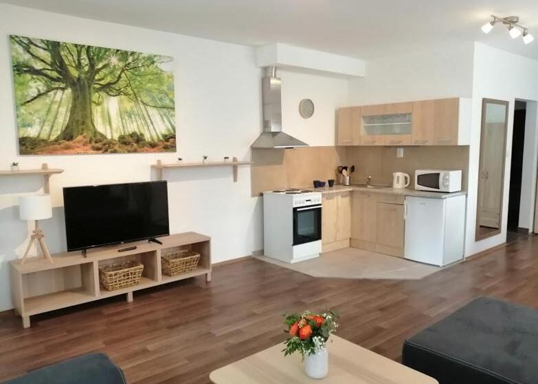 آپارتمان 1 خوابه همکف, Apartmány U Stříbrných