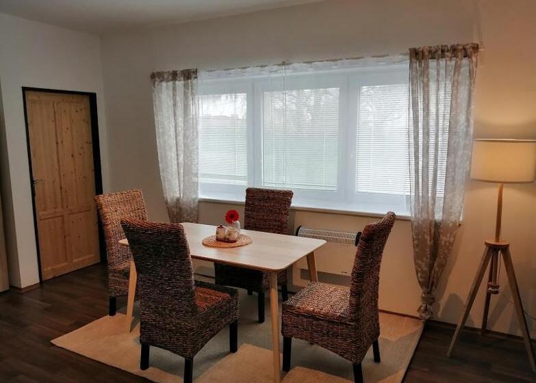 آپارتمان 1 خوابه همکف, Apartmány U Stříbrných