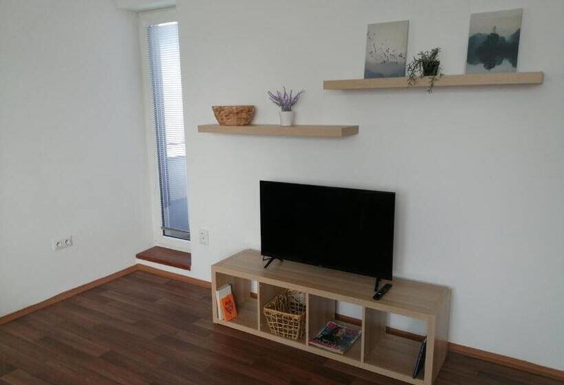 침실 1개 발코니 아파트, Apartmány U Stříbrných