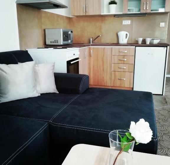침실 1개 아파트, Apartmány U Stříbrných