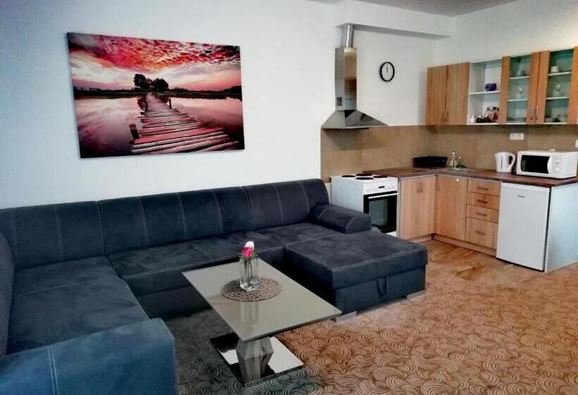 آپارتمان 1 خوابه, Apartmány U Stříbrných