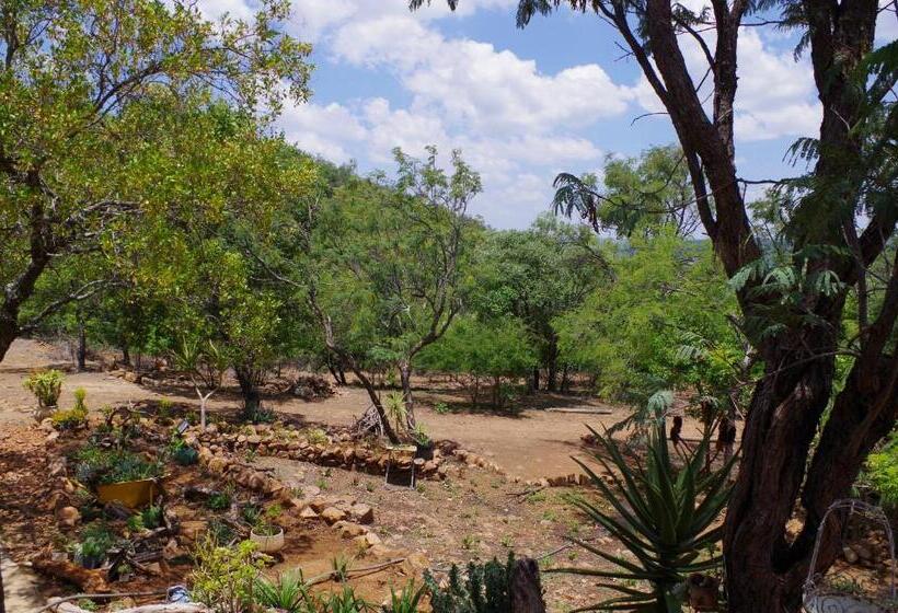 오두막, Bosveldsig Cottages