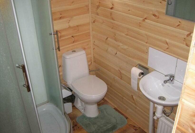 اتاق استاندارد, Toma Pirts Mazā