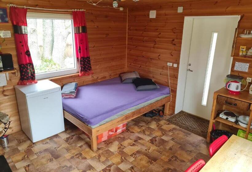 اتاق استاندارد, Toma Pirts Mazā