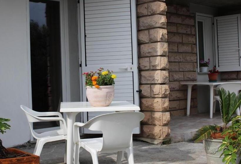 חדר סטנדרט, B&b Bassu