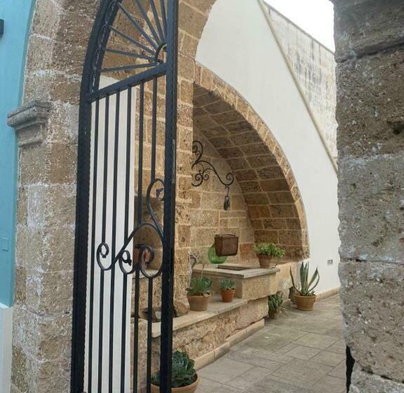 Standart Oda, Nonna Veronica