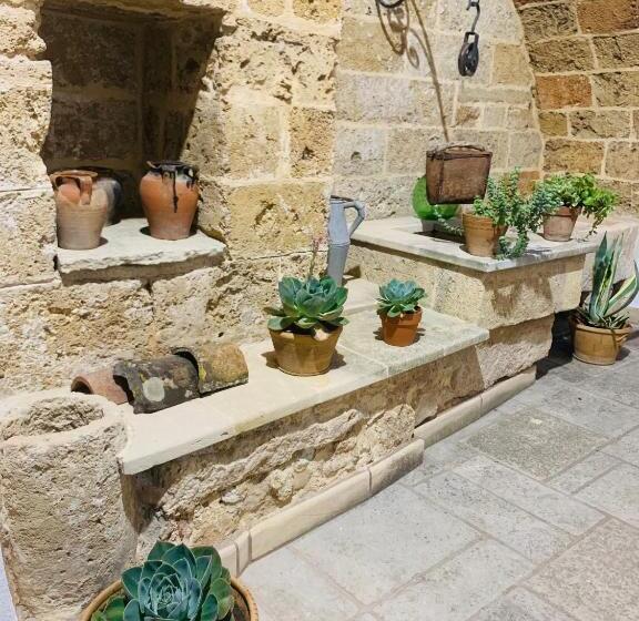 Standart Oda, Nonna Veronica