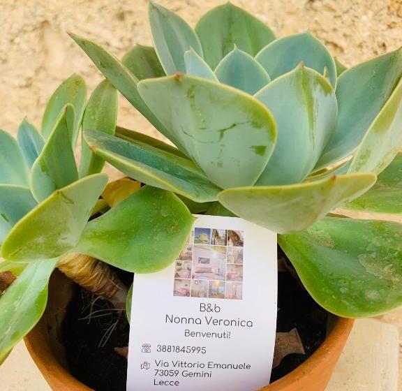 Bahçe Manzaralı Süit, Nonna Veronica