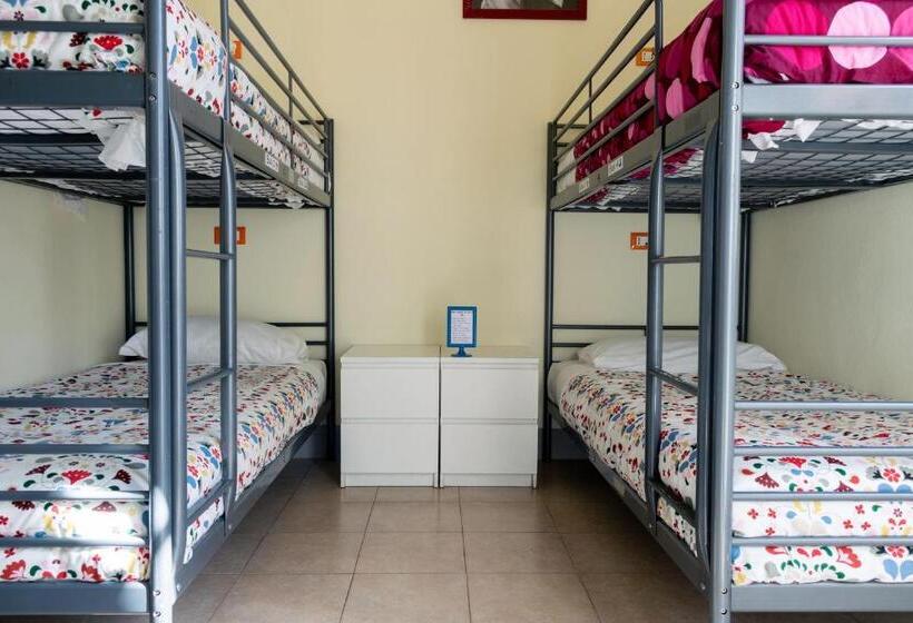 Camera Standard, Hostel Pisa Tower