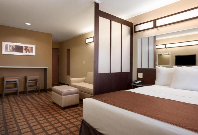 Студия Стандарт, Microtel Inn & Suites Cotulla