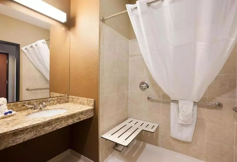 スタンダードルーム, Microtel Inn & Suites Cotulla