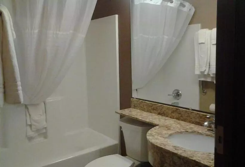 身障者適用スタンダードルーム, Microtel Inn & Suites Cotulla