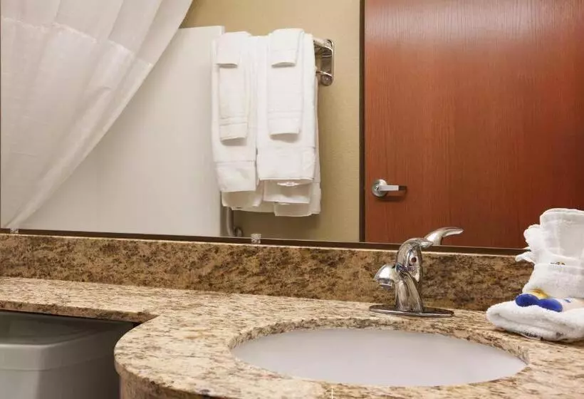 身障者適用スーペリアールーム, Microtel Inn & Suites Cotulla