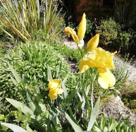 Номер Стандарт, Chambre D Hôte Le Mas Des Romarins