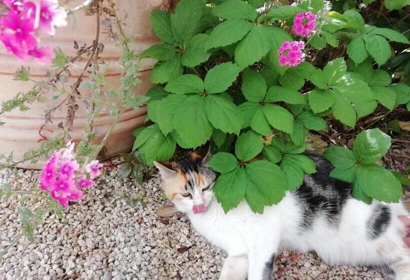 Номер Стандарт, Chambre D Hôte Le Mas Des Romarins