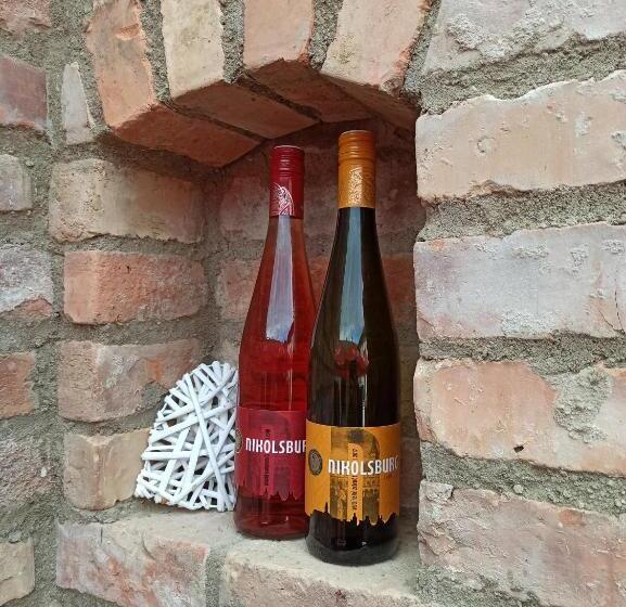 חדר סטנדרט לארבעה, Ubytování Němčičky