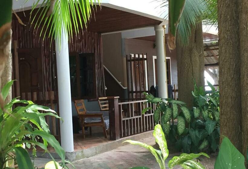 标准平房, Big Fish Resort Koh Tao