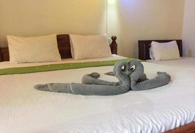 클래식 4인 룸, Big Fish Resort Koh Tao