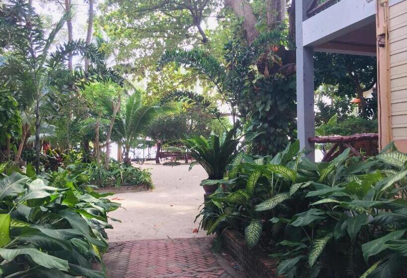 标准间, Big Fish Resort Koh Tao