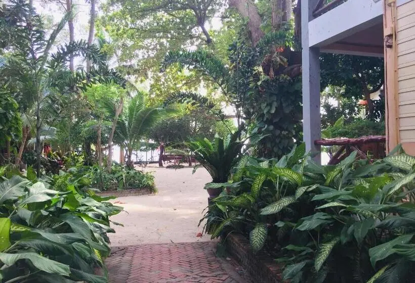 اتاق استاندارد, Big Fish Resort Koh Tao
