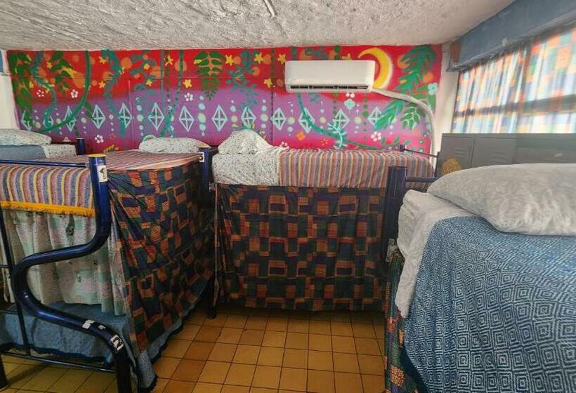 سرير فى غرفة مشتركه, Hostel Vallarta