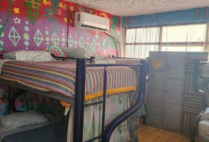 Cama em Quarto Compartilhado, Hostel Vallarta