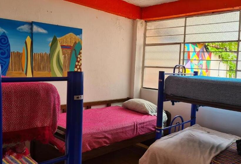 سرير فى غرفة مشتركه, Hostel Vallarta