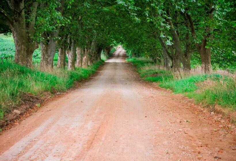 בונגלו משפחתי, Baldinnie Cottages